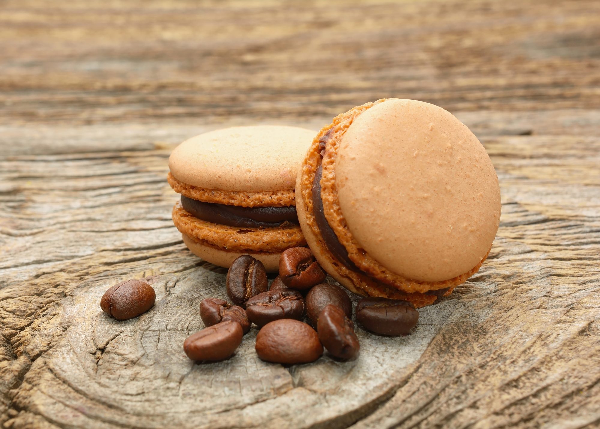 Two macarons filled with chocolate